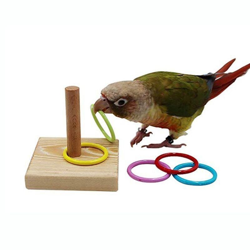 Gymnastic Ring Wood - Mainan cincin pelatihan burung bayan, mainan