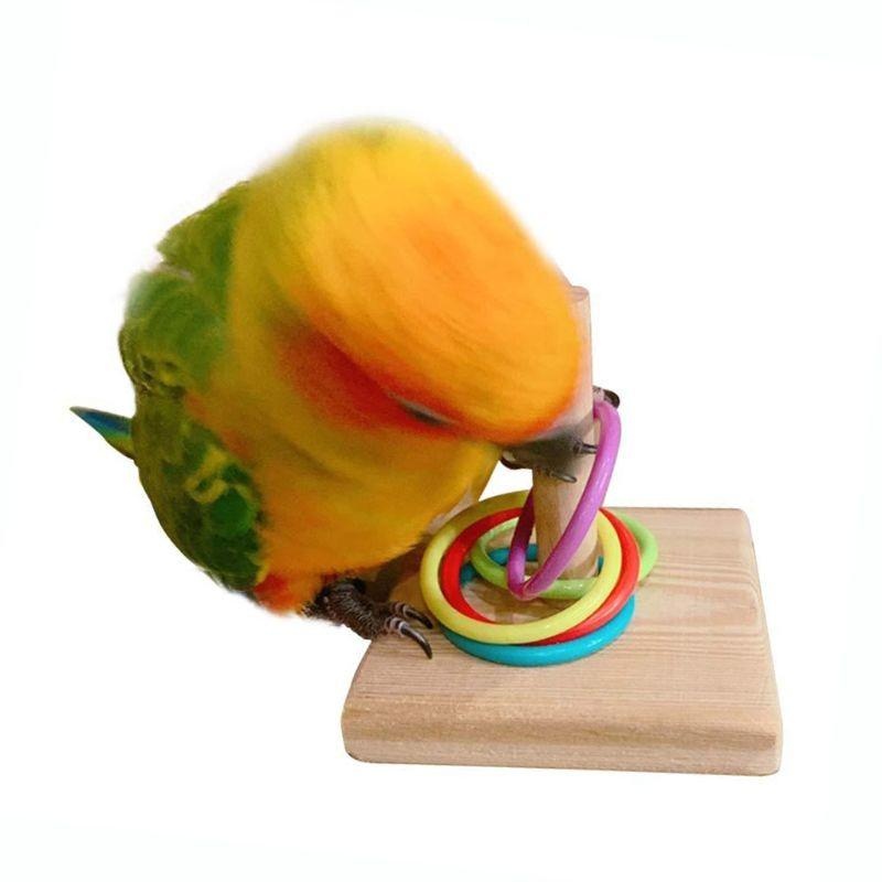 Mainan cincin pelatihan burung - Gymnastic Ring Wood ulasan dan harga